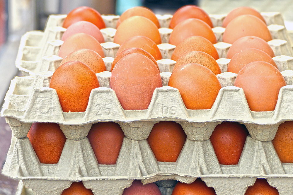 17 bedrijven wachten nog op fipronilcompensatie