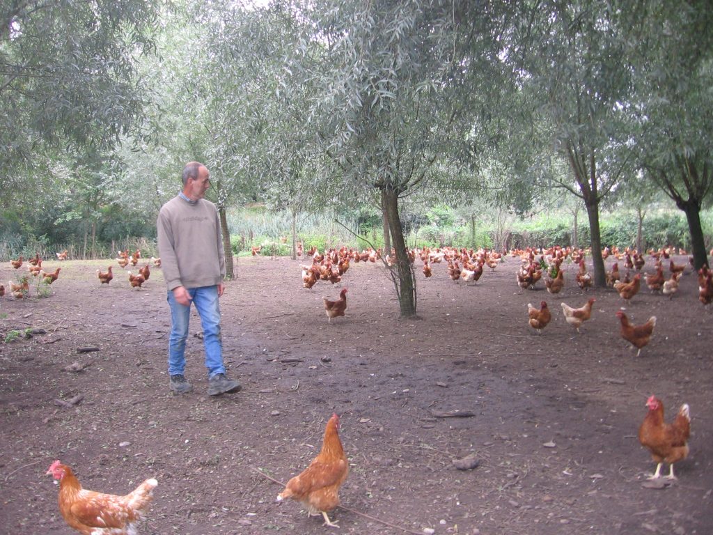 Pluimveehouder Jos Artis van bioboerderij De Taemhoeve