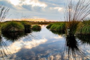 Het Instituut voor Landbouw-, Visserij- en Voedingsonderzoek (ILVO) roept landbouwers op om een vragenlijst in te vullen voor operationele groep ‘Boeren en Burgers’. ILVO heeft samen met een groep actieve boeren een project opgezet om na te gaan hoe burgers een positievere rol kunnen spelen bij landbouw en welke samenwerking tussen boer en burger mogelijk zijn.