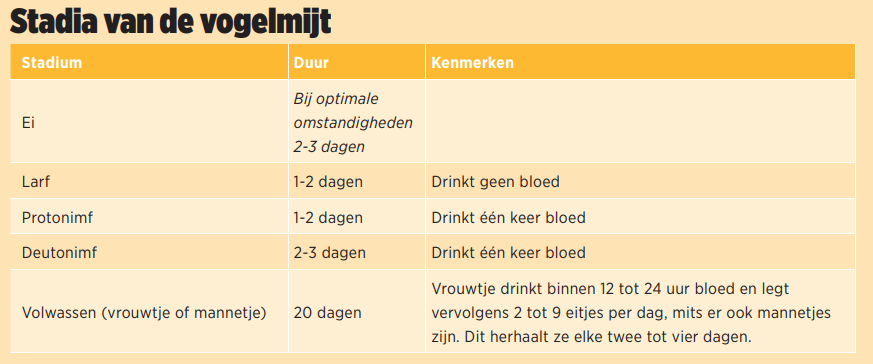 Bestrijding vogelmijt: ken uw tegenstander