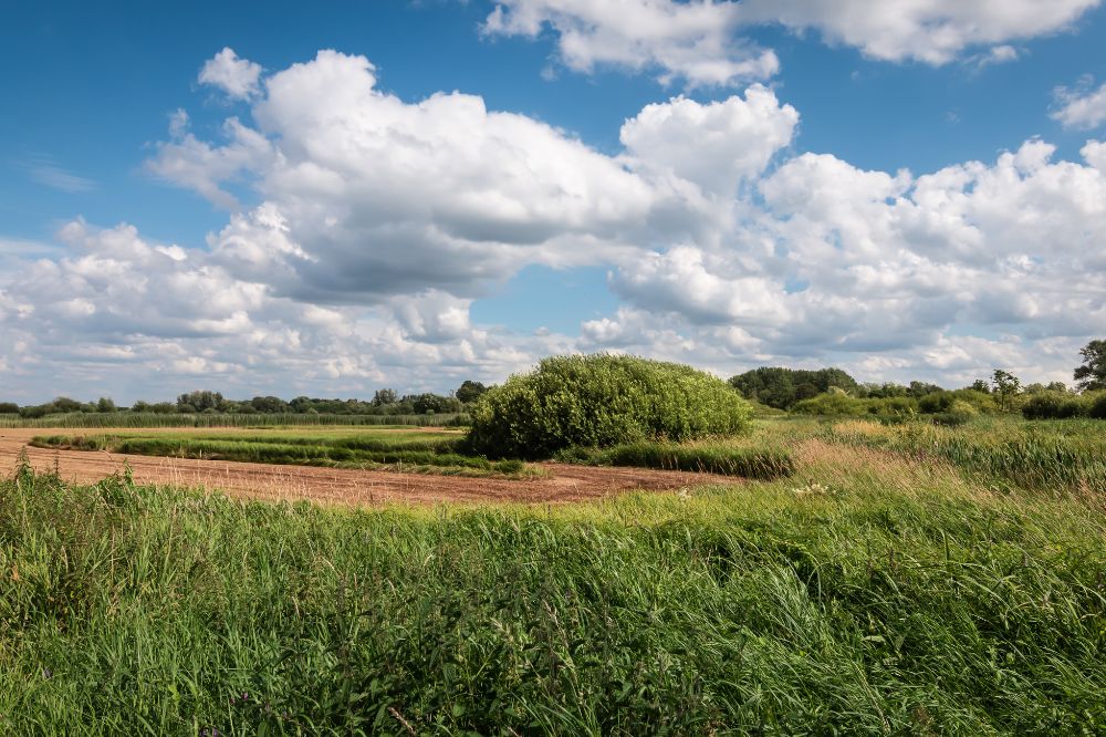 Twee nieuwe webinars rond mentaal welbevinden bij landbouwers