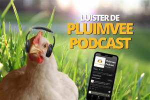 PluimveePodcast